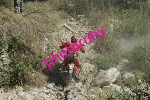 MOTO (41).JPG